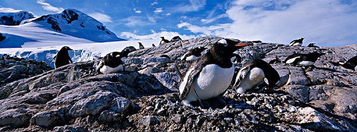 ARPG《芙蕾德利卡》“七位英雄”预告片分享