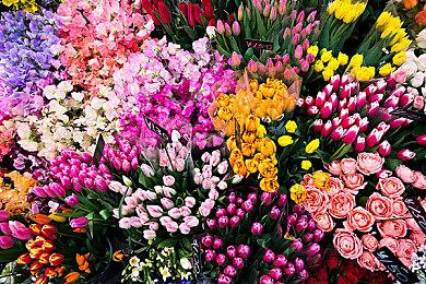 《劳拉与光之守护者+奥西里斯神庙》2022年登陆NS